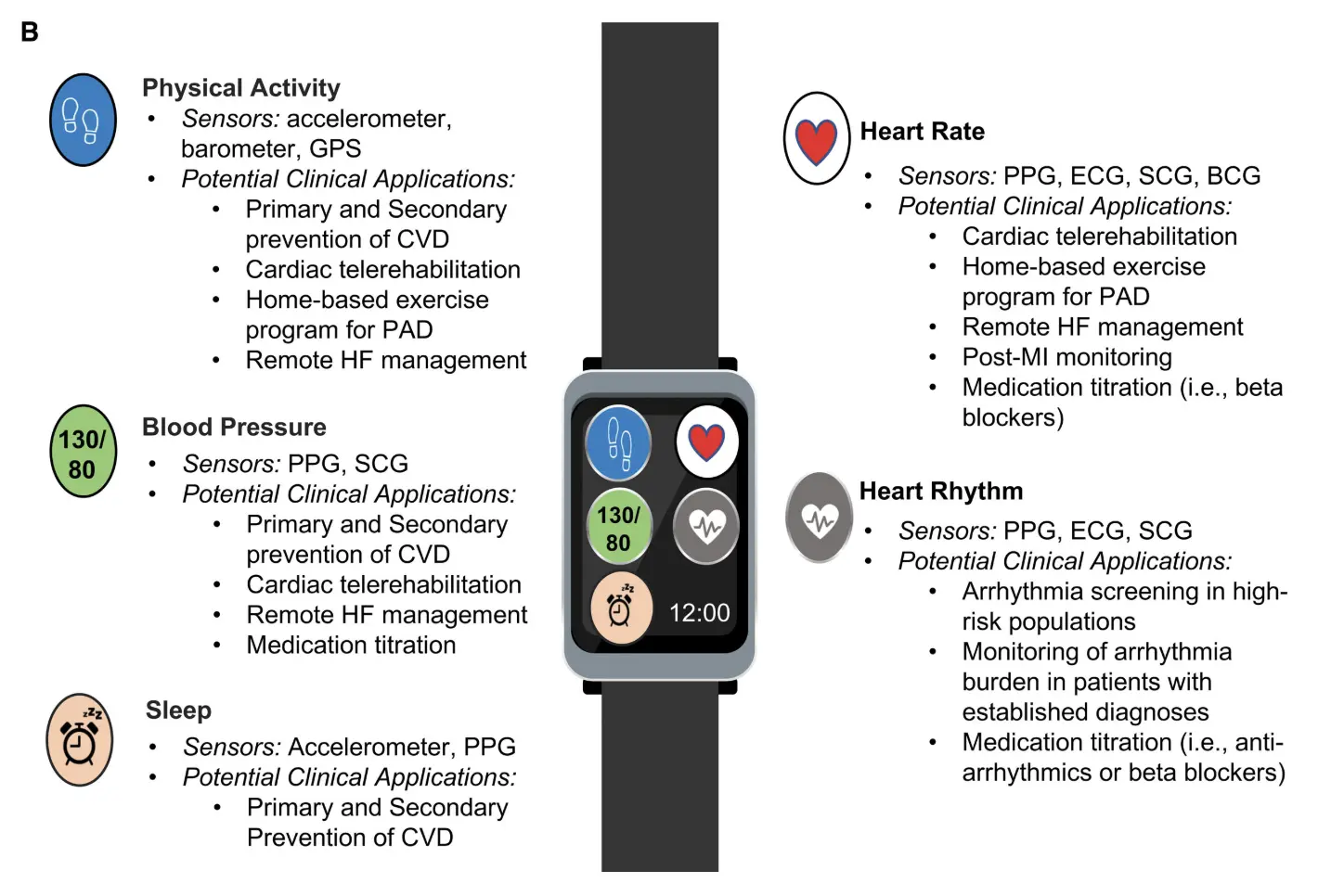 Apple Watch displaying health tracking features including heart rate, ECG, and activity metrics