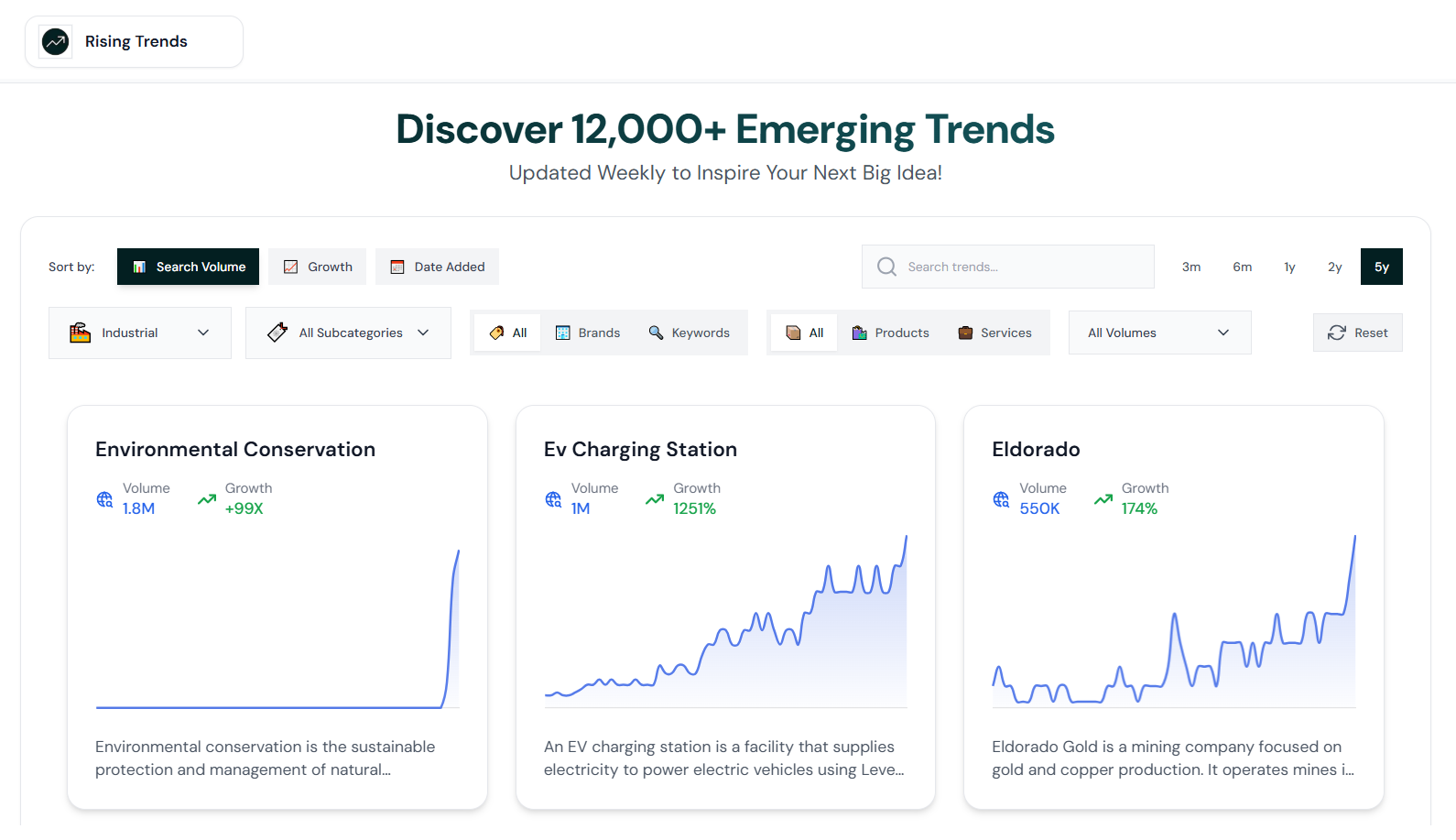 rising trends platform to help you identify market trends